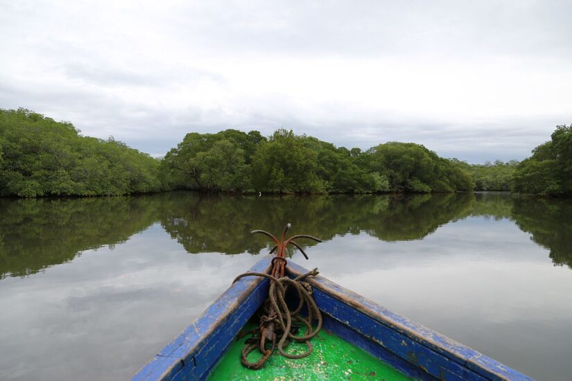 Parque Marino Las Baulas en Costa Rica. Foto por François Bianco. Wikimedia Commons.