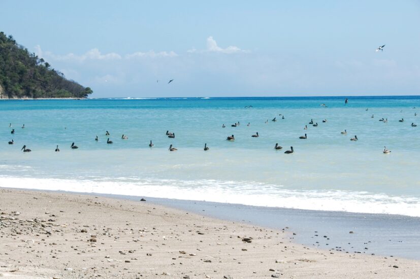 Visitas en Cabo Blanco. Foto por travelmag.com. Flickr.