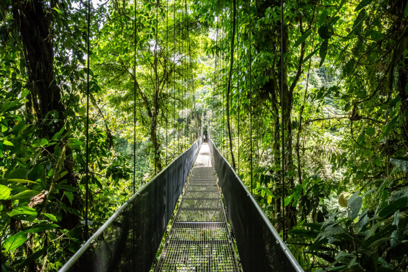 Místico Park en Costa Rica. Foto por Domenico Convertini. Flickr.