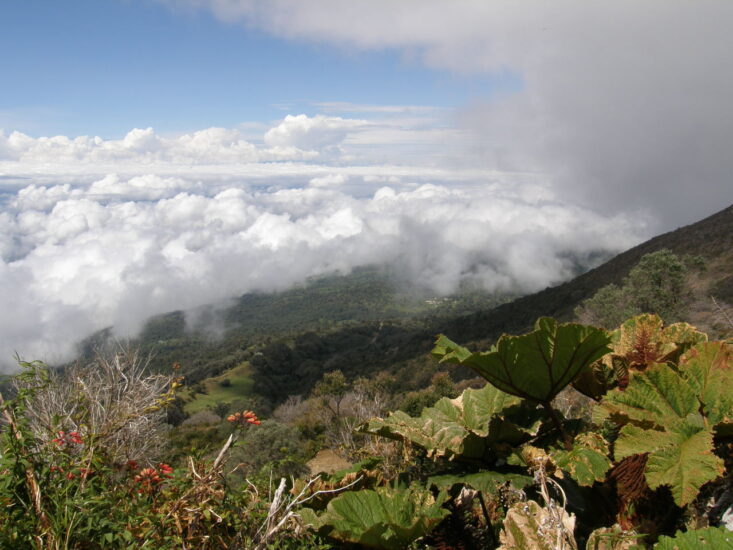 Caminata hacia el volcán turrialba. Foto de Cherie Stafford. Flickr.