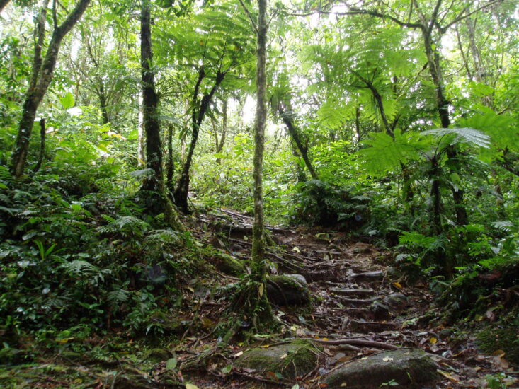 Visita volcán turrialba en Costa Rica. Foto por papermakesplane. Flickr.