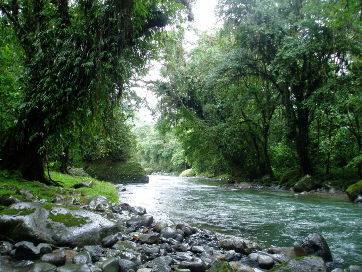 Río hacia el volcán turrialba. . Foto por de papermakesplanes. Flickr