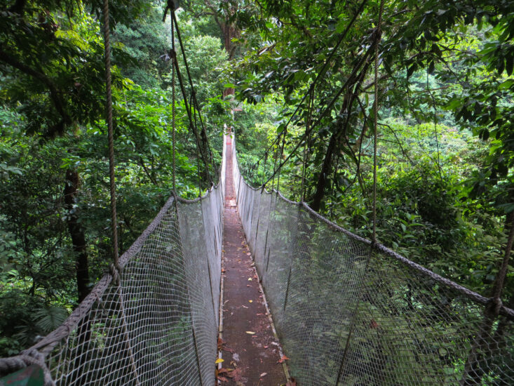 Vida silvestre en Puntarenas. Foto de Smarter Within. Flickr.