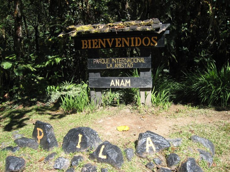 Visita el Parque Nacional la Amistad. Foto por Margaux1900. Wikimedia Commons.