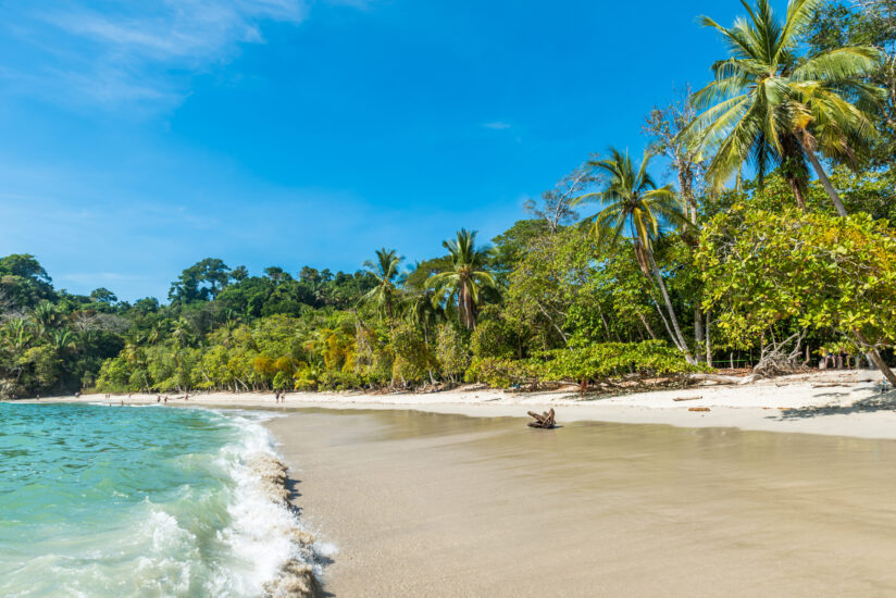 Guía para visitar el Parque Nacional Manuel Antonio. Foto por Depositphotos.