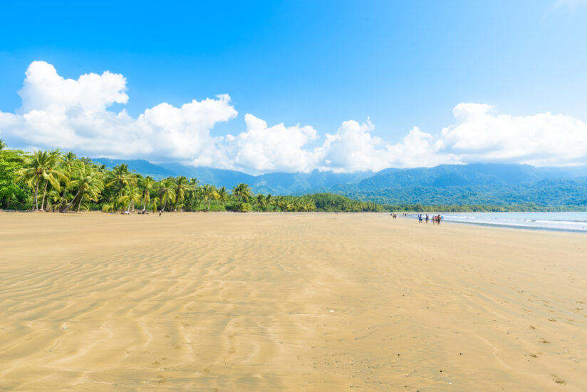 Qué ver en Parque Nacional Marino Ballena. Foto por Depositphotos.