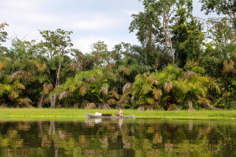 Qué ver en Parque Nacional Tortuguero. Foto por Depositphotos.