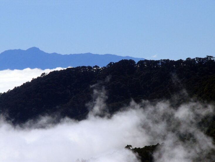 Parque Nacional de la Amistad. Foto por la UNESCO a través de Wikimedia Commons.