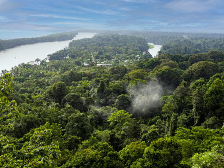 Tortuguero en Costa Rica. Foto por Depositphotos.