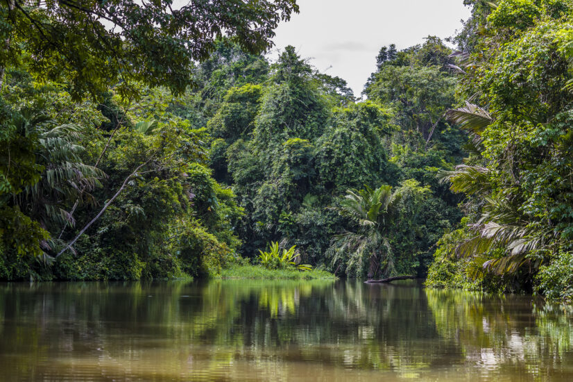 Visita Parque Nacional Tortuguero. Foto por Depositphotos.