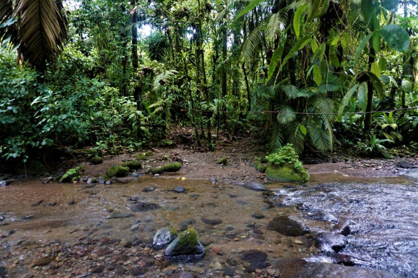 Visita el Parque Nacional Braulio Carillo. Foto por Depositphotos.