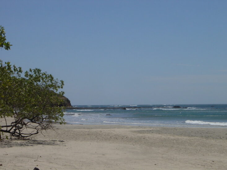 Visita Playa Avellanas. Foto por dog4aday. Flickr.