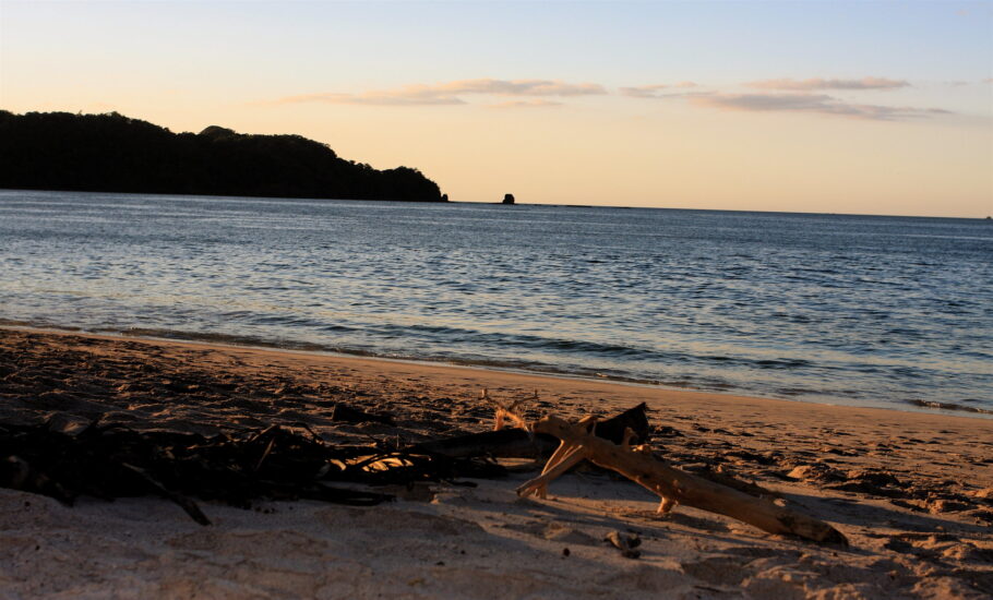 Visita la playa conchal. Foto por TravelingOtter. Flickr.