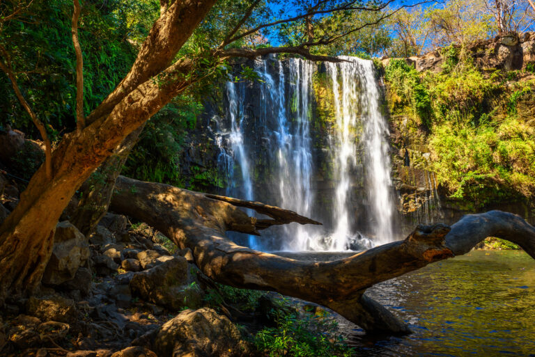 Guía Para Una Visita Inolvidable Al Parque Nacional Palo Verde VIAJAR