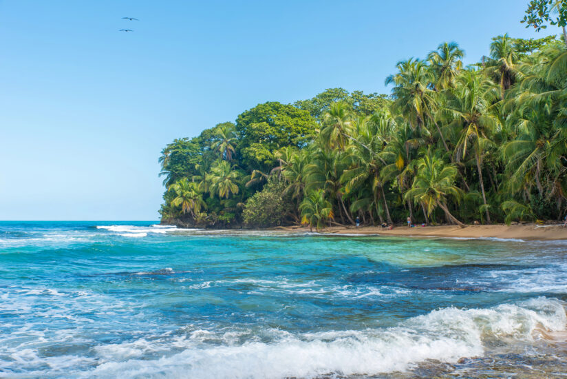 Gandoca- Manzanillo. Foto por Depositphotos.