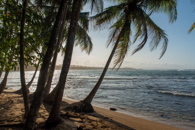 Manzanillo. Foto por Depositphotos.