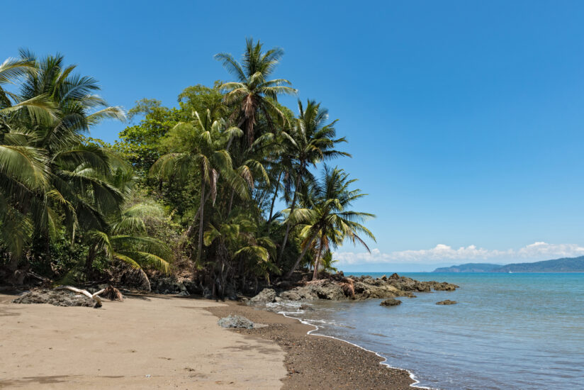 Visitar Bahía Drake. Foto por Depositphotos.