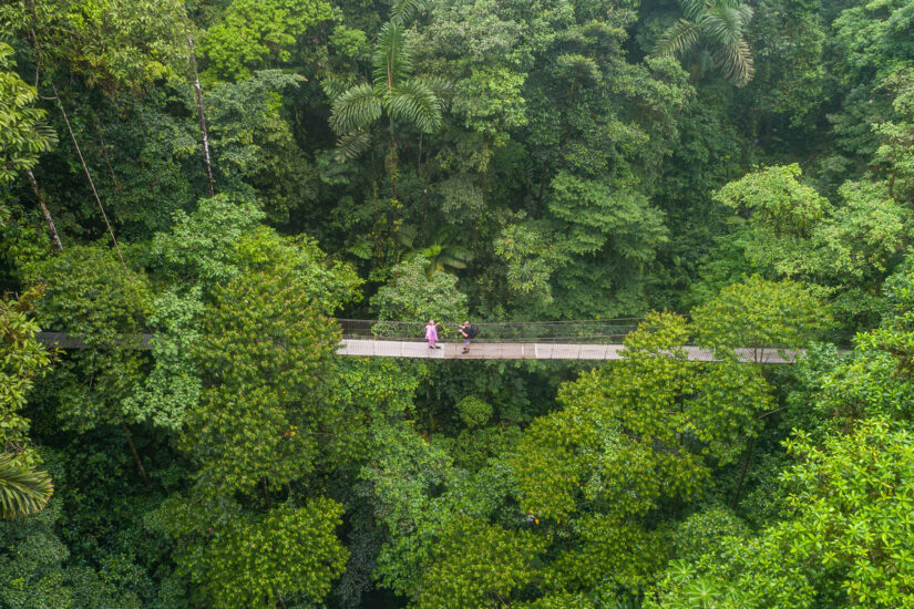 Guía de Parques Nacionales en Costa Rica. Foto por Depositphotos.